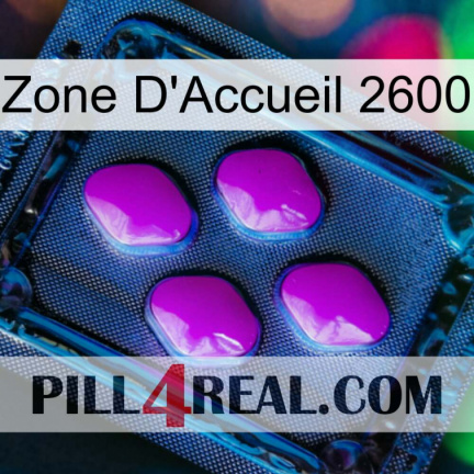 Home Zone 2600 04